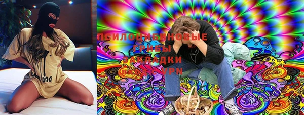 стафф Баксан