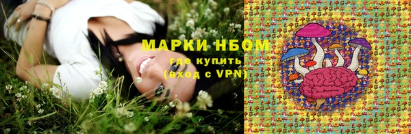 стафф Баксан