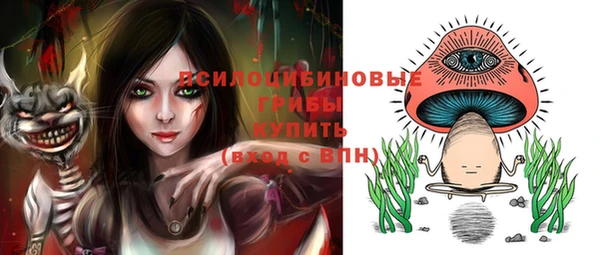 стафф Баксан