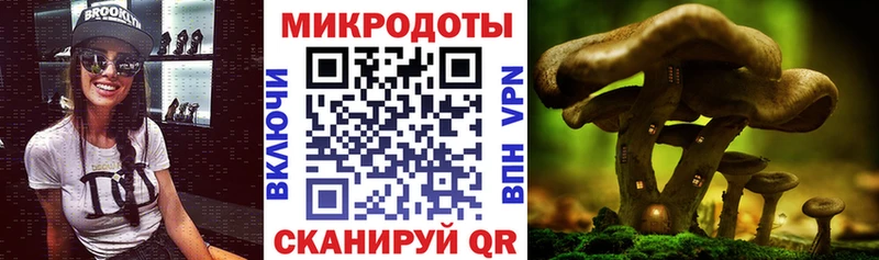 где купить Семилуки Галлюциногенные грибы прущие грибы